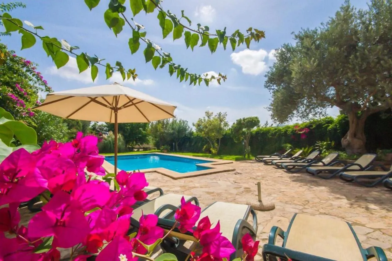 Ideal Property Mallorca - Can Nyany Buger 0*,  Spain