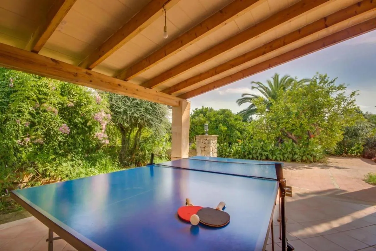 Ideal Property Mallorca - Can Nyany Buger Spain