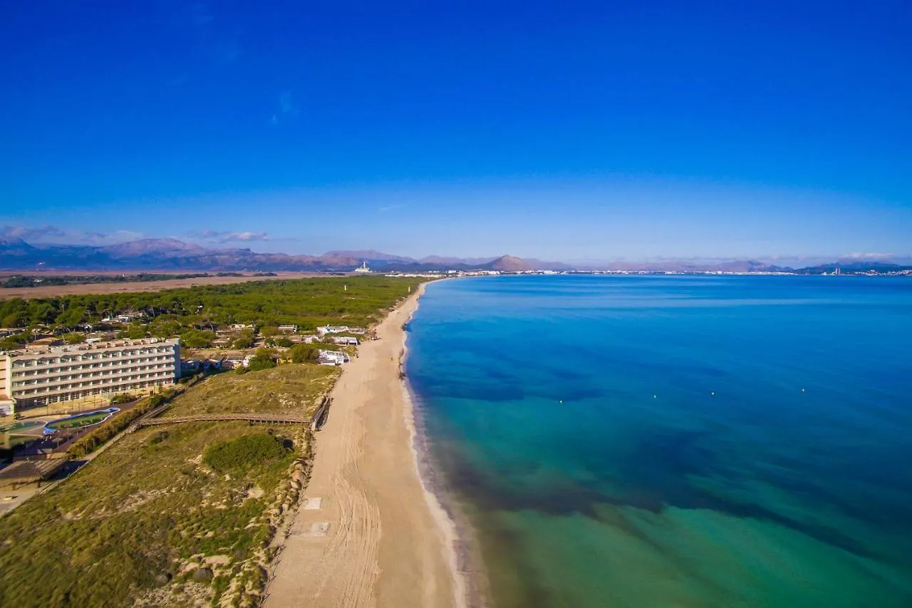 Ideal Property Mallorca - Can Nyany Buger