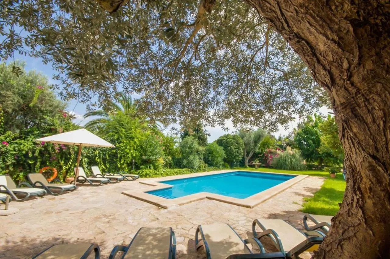 Ideal Property Mallorca - Can Nyany Buger 0*,  Spain