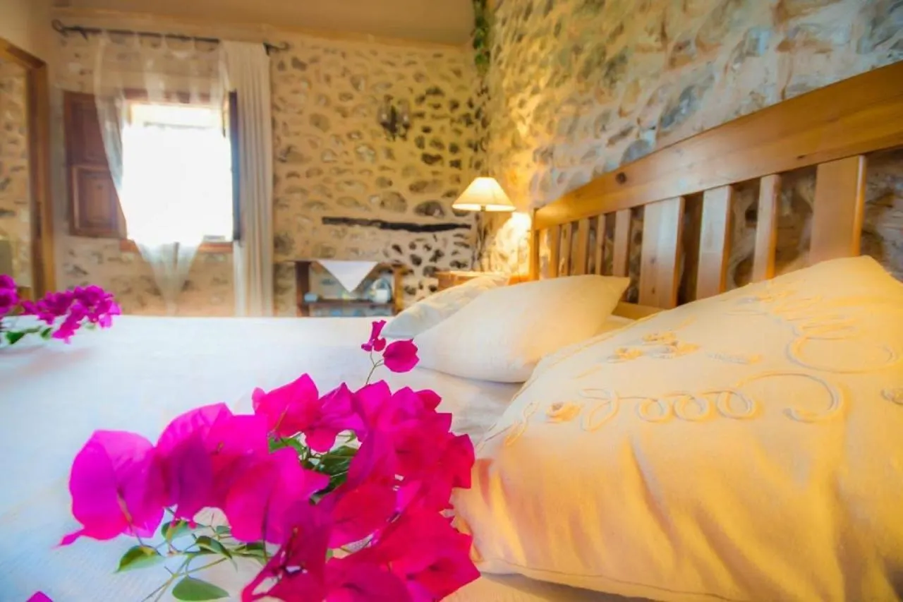 Ideal Property Mallorca - Can Nyany Buger Spain